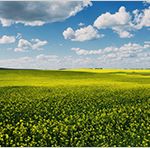 Fachkonzept Vorlage Inspiration Slg Erfolgsgeschichten