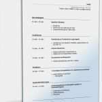 Fachkraft Für Lagerlogistik Monatsberichte Vorlage Großartig Lebenslauf Lagerlogistik