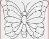 Fadengrafik Vorlagen Kostenlos Zum Ausdrucken Wunderbar Ausmalbilder Schmetterling Zum Drucken Rooms Project