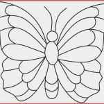 Fadengrafik Vorlagen Kostenlos Zum Ausdrucken Wunderbar Ausmalbilder Schmetterling Zum Drucken Rooms Project