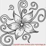 Fadengrafik Vorlagen Zum Ausdrucken Süß Schöne Ausmalbilder Zum Ausdrucken Igiocolandia