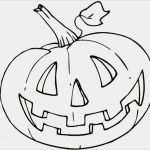 Fadengrafik Vorlagen Zum Drucken Wunderbar Fadengrafik Vorlagen Kostenlos Zum Ausdrucken – Vorlagen 1001