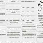 Fahrausweis Flurförderzeuge Vorlage Elegant Verkehrsverlag J Fischer Gmbh & Co Kg