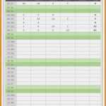 Fahrtenbuch Steuer Vorlage Hübsch Fahrtenbuch Excel Vorlage Machen 12 Fahrtenbuch Vorlage