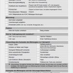 Fahrzeug Datenblatt Vorlage Erstaunlich Praktisch Checkliste Für Mietwagen Übernahme – Blog