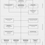 Fallbesprechung Pflege Vorlage Best Of Business Wissen Management Security Qm Handbuch Altenpflege