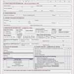 Faltschachtel Vorlage Download Elegant Fadengrafik Vorlagen Zum Ausdrucken Beispielbilder Färben