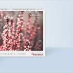 Falzflyer Vorlage Word Einzigartig Wandkalender Online Gestalten & Drucken