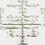 Familienstammbaum Erstellen Vorlage Einzigartig Suhrsoft Individualsoftware Und Genealogieprogramme