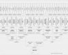 Familienstammbaum Vorlage Kostenlos Download Erstaunlich Familienbande Home