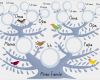 Familienstammbaum Vorlage Kostenlos Download Schön Punktstrichkomma Stammbaum A4 Plus