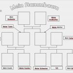 Family Tree Vorlage Angenehm Family Tree Template by Vickyjk Teaching Resources Tes