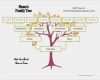 Family Tree Vorlage Angenehm How to Make A Family Tree