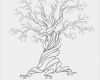 Family Tree Vorlage Hübsch Leinwand Hochzeit Tree Guest Book Hand Gezeichnet