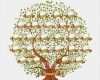 Family Tree Vorlage Inspiration Stammbaum Vorlage Vintage Illustration Stock Vektor Art