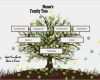 Family Tree Vorlage Neu 3 Generation Family Tree Generator