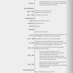 Fazit Bachelorarbeit Vorlage Angenehm Elegant Stock Von Lebenslauf Zielsetzung Beispiele