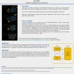 Fazit Hausarbeit Vorlage Wunderbar Darstellung Von forschungsergebnissen Mit