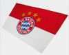 Fc Bayern Gutschein Vorlage Beste Fahne Hoch Und Jubeln – Fc Bayern München Fahnen Online