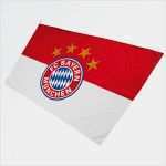 Fc Bayern Gutschein Vorlage Beste Fahne Hoch Und Jubeln – Fc Bayern München Fahnen Online