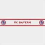 Fc Bayern Gutschein Vorlage Beste Fc Bayern Muenchen Borduere Bayern Logo Rot Weiss