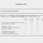 Fdp Powerpoint Vorlage Erstaunlich Fragebogen Ppt Herunterladen