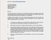 Feedback Email Vorlage Inspiration 16 öffentlicher Brief Muster