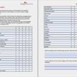 Feedback Fragebogen Vorlage Erstaunlich Coachingtool Selbst Und Fremdbild Für Berufliche