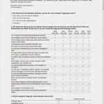 Feedback Fragebogen Vorlage Schön Feedback Fragebogen Meeting Vorlage Word Vorlage