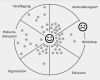 Feedback Zielscheibe Vorlage Word Bewundernswert Beispiel Evaluation Einer Veranstaltung
