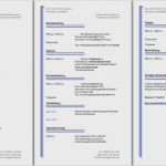 Feedback Zielscheibe Vorlage Word Luxus 13 Bewerbung Vorlagen Kostenlos