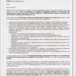 Feedbackbogen Vorlage Word Hübsch T Konten Vorlage Word T Konten Vorlage Word Elegant T