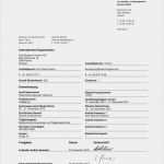 Feedbackgespräch Mitarbeiter Vorlage Genial C Net 2 0 Auditbericht 2012