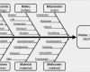 Fehlerbaumanalyse Excel Vorlage Genial ishikawa Diagramm Vorlage Elegant Risikoanalyse Fmea