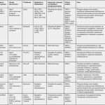 Fehlerbaumanalyse Excel Vorlage Süß Fmea Excel