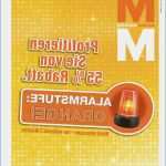 Fensterbild Maulwurf Vorlage Erstaunlich Pippi Langstrumpf Malvorlage