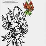 Fensterbilder Blumen Vorlagen Best Of Blumen Vorlagen 1 Az Colorare