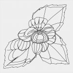 Fensterbilder Blumen Vorlagen Cool Kostenlose Malvorlagen Window Color Fensterbilder Zum