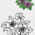 Fensterbilder Blumen Vorlagen Einzigartig Blumen Vorlagen 1 Draw Flowers Pinterest