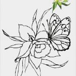 Fensterbilder Blumen Vorlagen Inspiration Blumen Vorlagen 1