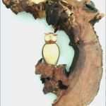 Fensterbilder Frühling Vorlagen Kostenlos Schön Fensterbilder Frühling Vorlagen Kostenlos