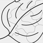 Fensterbilder Herbst Vorlagen Kostenlos Ausdrucken Bewundernswert Herbst Malvorlagen Kostenlos Zum Ausdrucken Avec