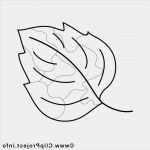 Fensterbilder Herbst Vorlagen Kostenlos Ausdrucken Elegant 99 Fensterbilder Blumen Vorlagen Kostenlos Ideen