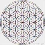 Fensterbilder Herbst Vorlagen Kostenlos Ausdrucken Genial 99 Fensterbilder Blumen Vorlagen Kostenlos Ideen