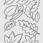 Fensterbilder Herbst Vorlagen Kostenlos Ausdrucken Inspiration Fensterbilder Vorlagen Kostenlos Ausdrucken Wunderbar