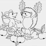 Fensterbilder Herbst Vorlagen tonkarton Einzigartig 99 Fensterbilder Blumen Vorlagen Kostenlos Ideen