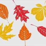 Fensterbilder Herbst Vorlagen tonkarton Fabelhaft Herbst Motive Basteln tonpapier Ostseesuche