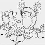 Fensterbilder Herbst Vorlagen tonkarton Gut Fensterbilder Herbst Vorlagen tonkarton Genial