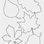 Fensterbilder Kürbis Vorlagen Kostenlos Luxus Fensterbilder Herbst Vorlagen tonkarton Drachen Archives