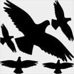 Fensterbilder Vögel Vorlagen Gut Vorlage Vogel Fenster Papacfo